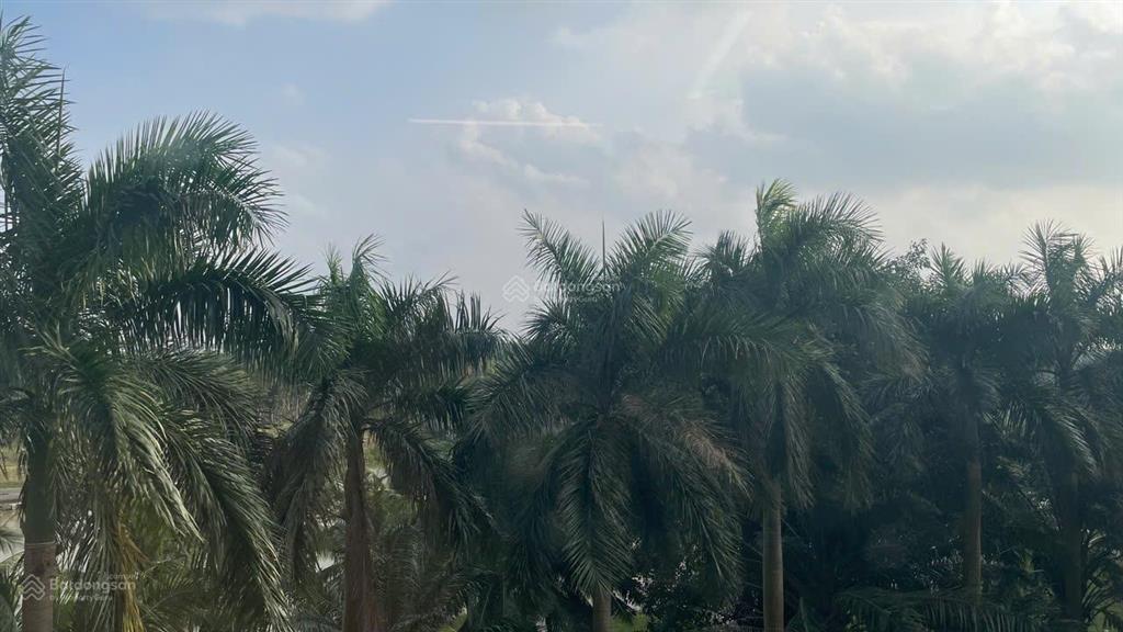 Bán ch 46m2 aquabay ban công hướng mát, view cây xanh, giá bán 2.9 bp  0328 920 ***(zalo)