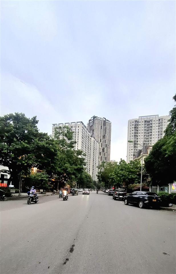 Biệt thự kđt dương nội  hà đông  mặt phố  căn góc  kinh doanh  có hầm  220m²
