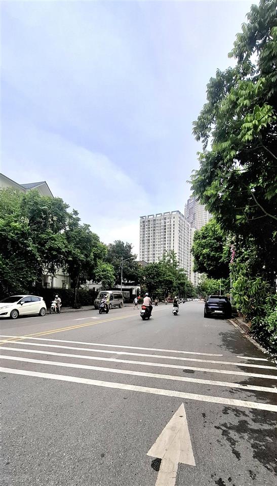 Biệt thự kđt dương nội  hà đông  mặt phố  căn góc  kinh doanh  có hầm  220m²