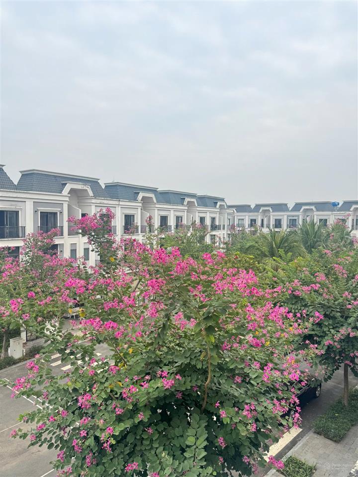 Cđt thanh lý duy nhất 1 căn nhà phố ven sông vàm cỏ giá cực rẻ view công viên tại solar city