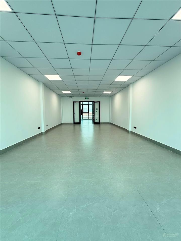 Siêu hiếm! nhà mặt phố nguyễn khang kinh doanh sầm uất,vỉa hè, 88m2x8 tầng thang máy, giá 54.5 tỷ