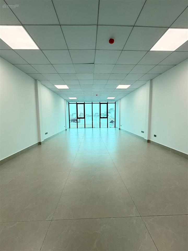 Siêu hiếm! nhà mặt phố nguyễn khang kinh doanh sầm uất,vỉa hè, 88m2x8 tầng thang máy, giá 54.5 tỷ