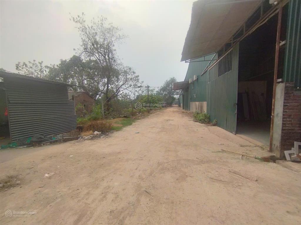 Cho thuê kho đường vân linh, an khánh, hoài đức. dt 900m2, cao 8m, trống nóng, điện 3fa. giá 40k/m2