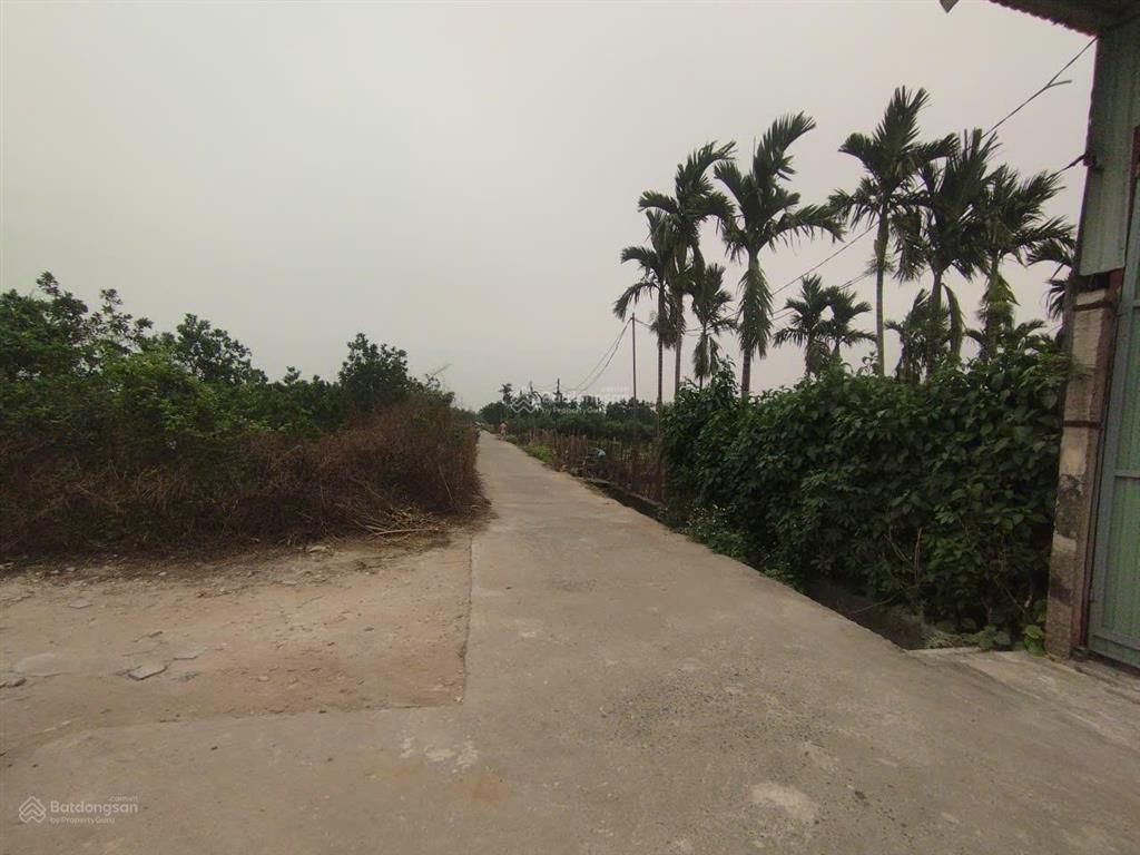 Cho thuê kho tổ 14 đường nghĩa bình, yên nghĩa, hà đông. dt 600m2, cao 8m, xe công đỗ cửa. giá 27tr