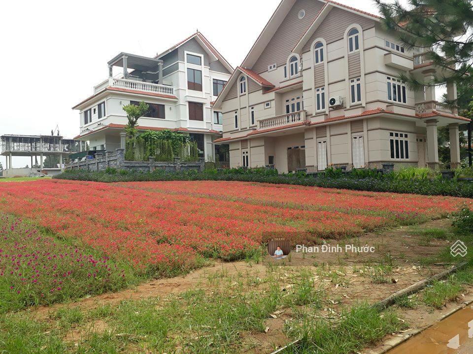 Bán lô biệt thự đường chế viết tấn  khu đảo vip, view kênh, hòa xuân