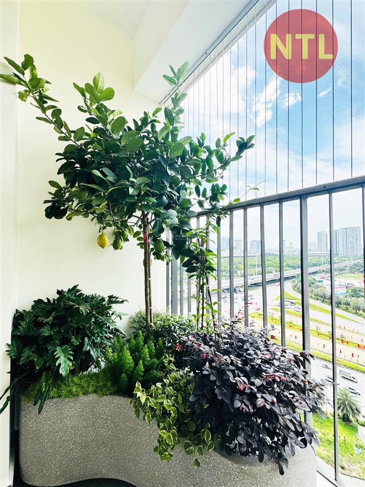 Cơ hội vàng đầu tư d.capitale  quỹ căn đẹp giá tốt, thông tin đầy đủ ,chính xác