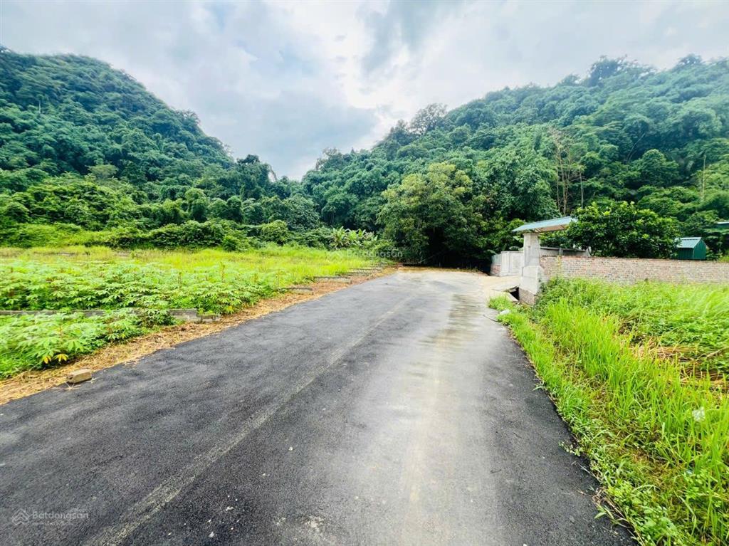 Em còn lô đất tài chính nhỏ ngon bổ rẻ mặt tiền 5m sâu hơn 30m và mặt tiền 5m sâu hơn 25m