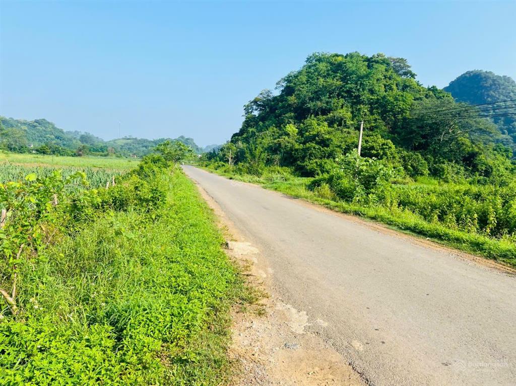 Em còn lô đất tài chính nhỏ ngon bổ rẻ mặt tiền 5m sâu hơn 30m và mặt tiền 5m sâu hơn 25m