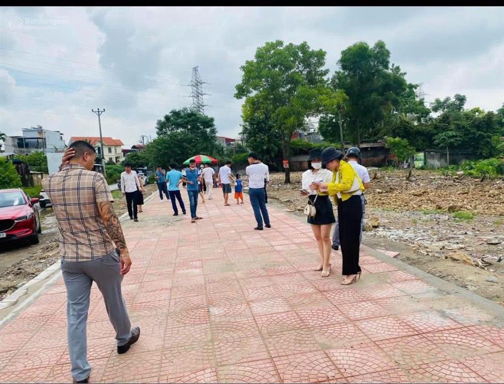 Chính chủ cần bán lô đất tại khu đấu giá ngay trung tâm chợ đầm triều, kiến an, hải phòng