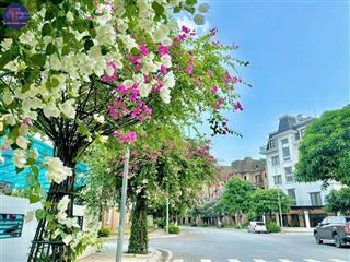 Biệt thự rẻ nhất lideco  đơn giá chỉ 115 triệu/m²!