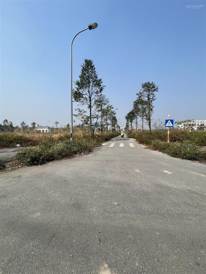 Đất dịch vụ tây tựu  mặt đường 24m, giá chỉ 17x triệu/m²!