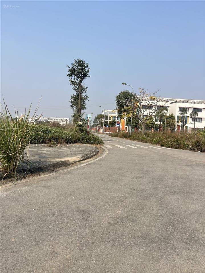 Đất dịch vụ tây tựu  mặt đường 24m, giá chỉ 17x triệu/m²!