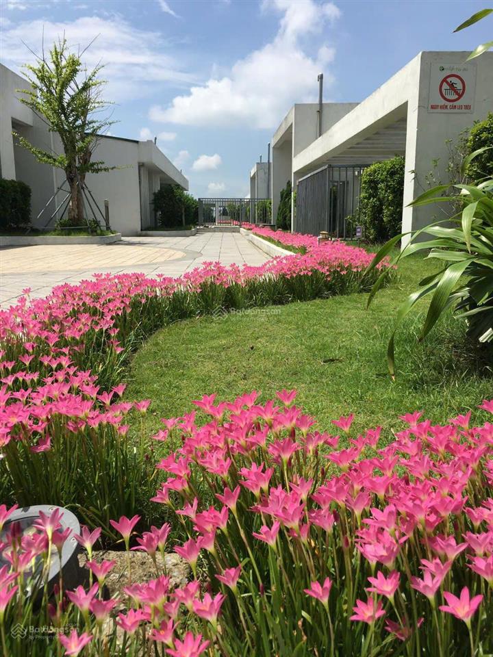 View hồ tây  bán căn hộ ecolife tây hồ, 88,8m2, 2pn, 2wc, view hồ tây, ban công đông nam, sổ đỏ