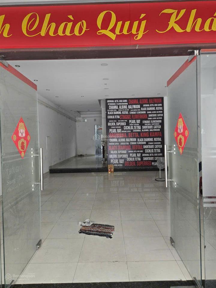 Cho thuê nhà mt đ. số 4, khu tên lửa, 6x20m, 3 lầu, giá 30 triệu/tháng.