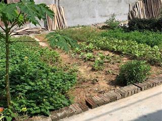 Chính chủ cần bán lô đất siêu đẹp, tại thôn dược hạ, giá đầu tư.