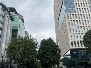 Bán 126m đất đấu giá trần thái tông, vị trí vip, hiếm, văn phòng, kinh doanh cực tốt, giá hợp lý