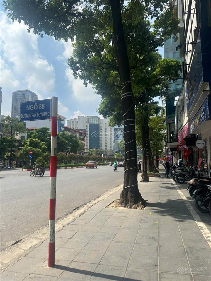 Nhà phố trần duy hưng 50m 4 tầng, cách ô tô 20m, gần hồ, vị trí đắc địa, giá rẻ
