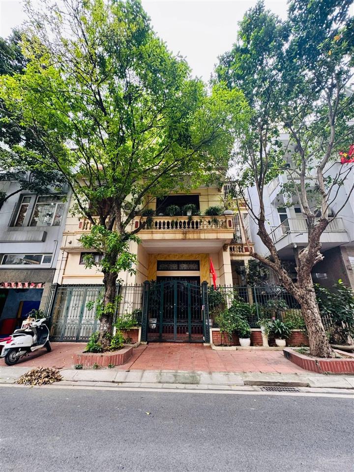 Chính chủ cần bán gấp , biệt thự phố mỹ đình, nam từ liêm. 112m , 5 tầng, mt 11,8m , giá 41 tỷ.