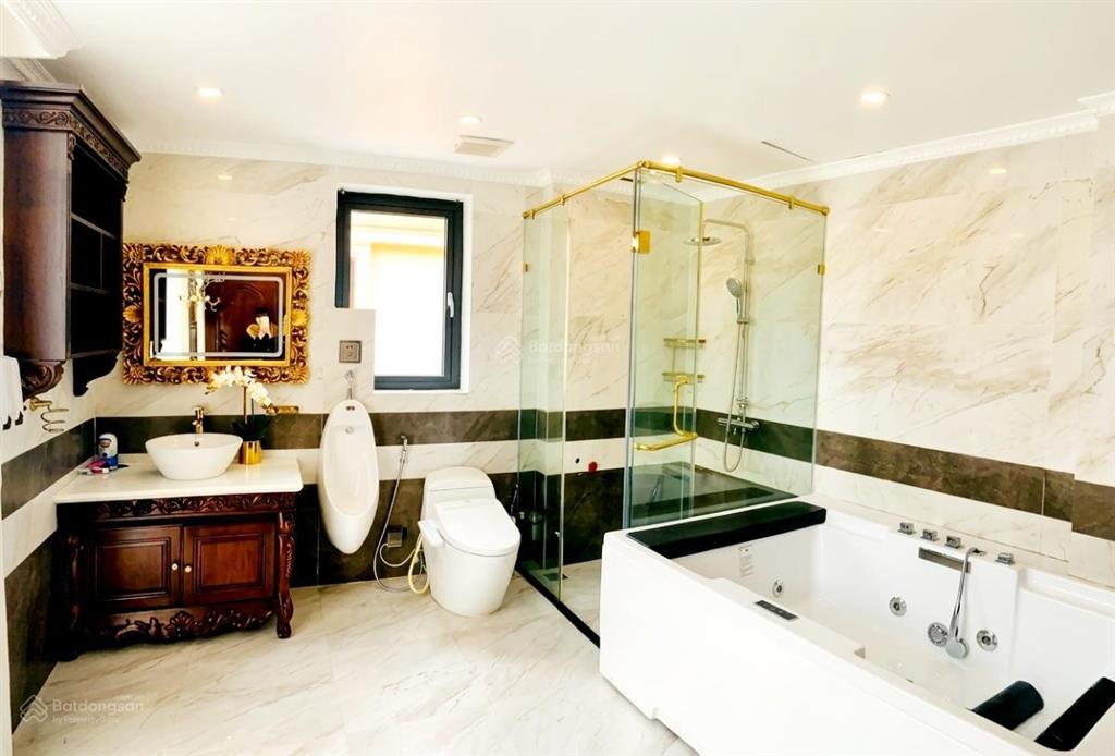 Siêu biệt thự khu lô góc đẹp kđt việt hưng, long biên. 265m 5t mt 30m 5n, tm, giá 87,6 tỷ.