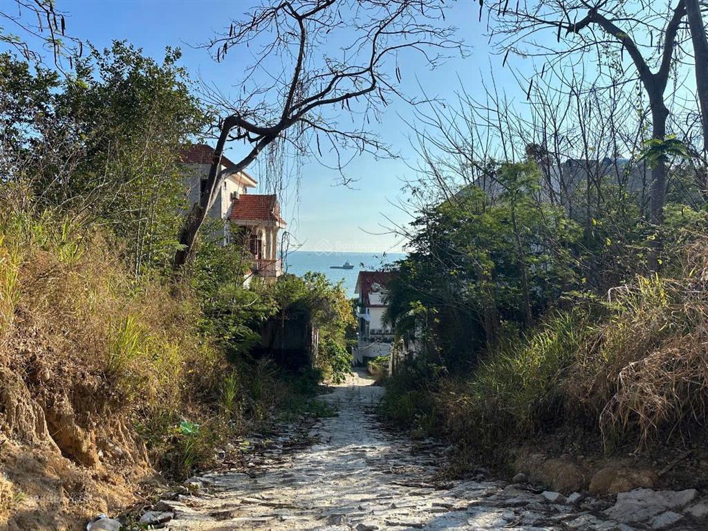 Siêu phẩm đất biệt thự view biển vĩnh viễn đồi sứ, trần phú, bãi trước vũng tàu 500m2 12,5 tỷ