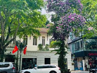 Duy nhất ! chủ nhà cho thuê biệt thự mặt phố hai bà trưng, mặt tiền 15m, dt 450m2, xây dựng 4 tầng