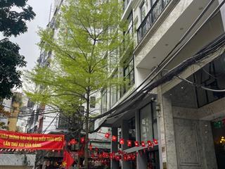 Hiếm! bán nhà phân lô huỳnh thúc kháng 115m2 mt 5.85m xây 7t +1 hầm. khu cao cấp giữ tài sản.