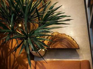 Apartment dòng tiền phan đình giót thanh xuân lô góc 3 thoáng