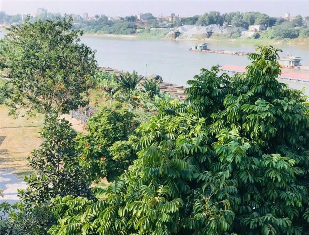 Nhà vườn 3 mặt tiền view sông đuống 121m2 mt 11,5m tỷ lệ vàng 20 ô tô đỗ trước nhà view sông đuống