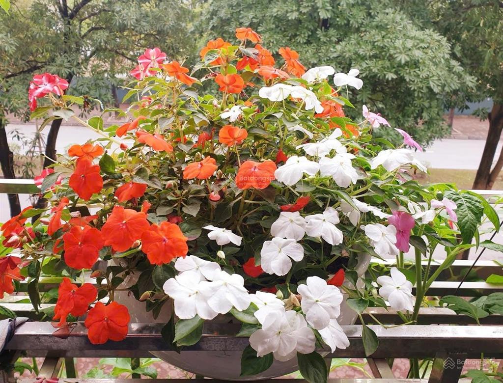 Chung cư việt hưng 77m2 lô góc 2 thoáng đầy đủ nội thất 2 p ngủ, giá 3,8 tỷ sổ đỏ chuẩn