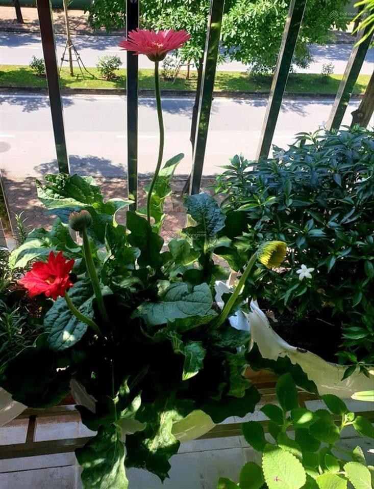 Chung cư việt hưng 77m2 lô góc 2 thoáng đầy đủ nội thất 2 p ngủ, giá 3,8 tỷ sổ đỏ chuẩn