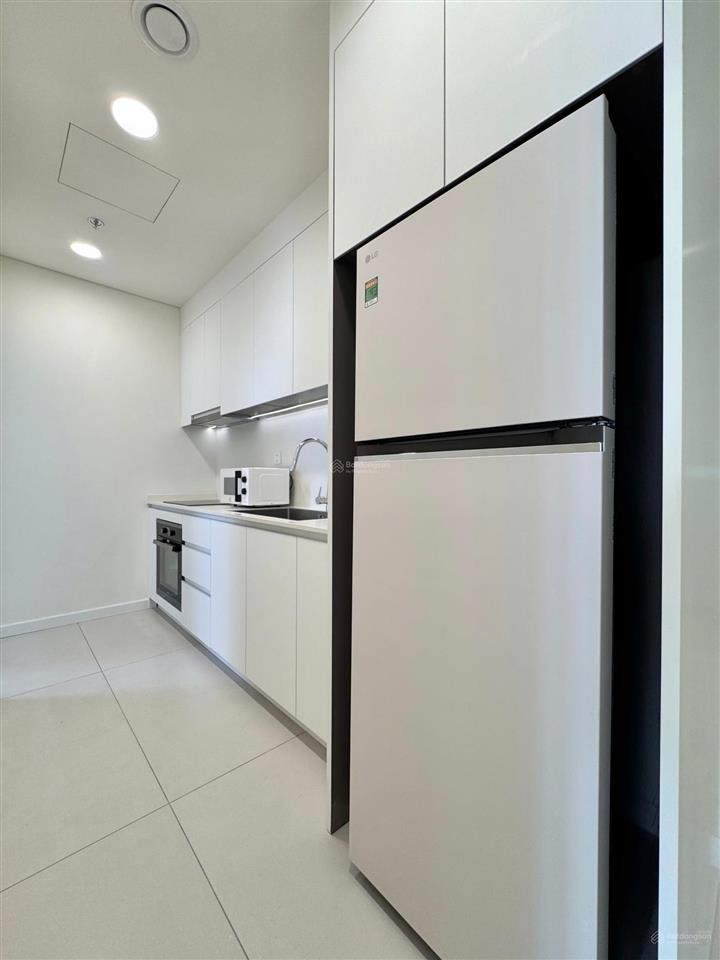 Cho thuê căn hộ 1pn 60m2 thu thiem zeit river, view trung tâm hành chính