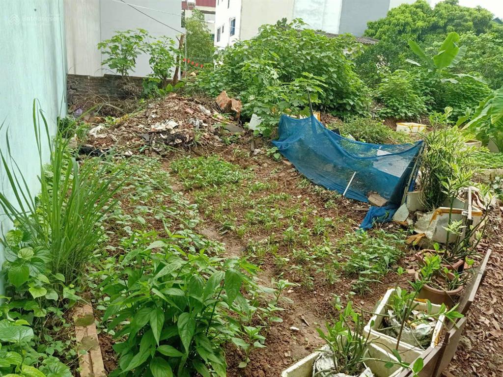 Bán mảnh đất rẻ nhất tại tây mỗ, ngõ thông, diện tích 55 m2, mt 6m, giá bán 5 tỷ còn thương lượng