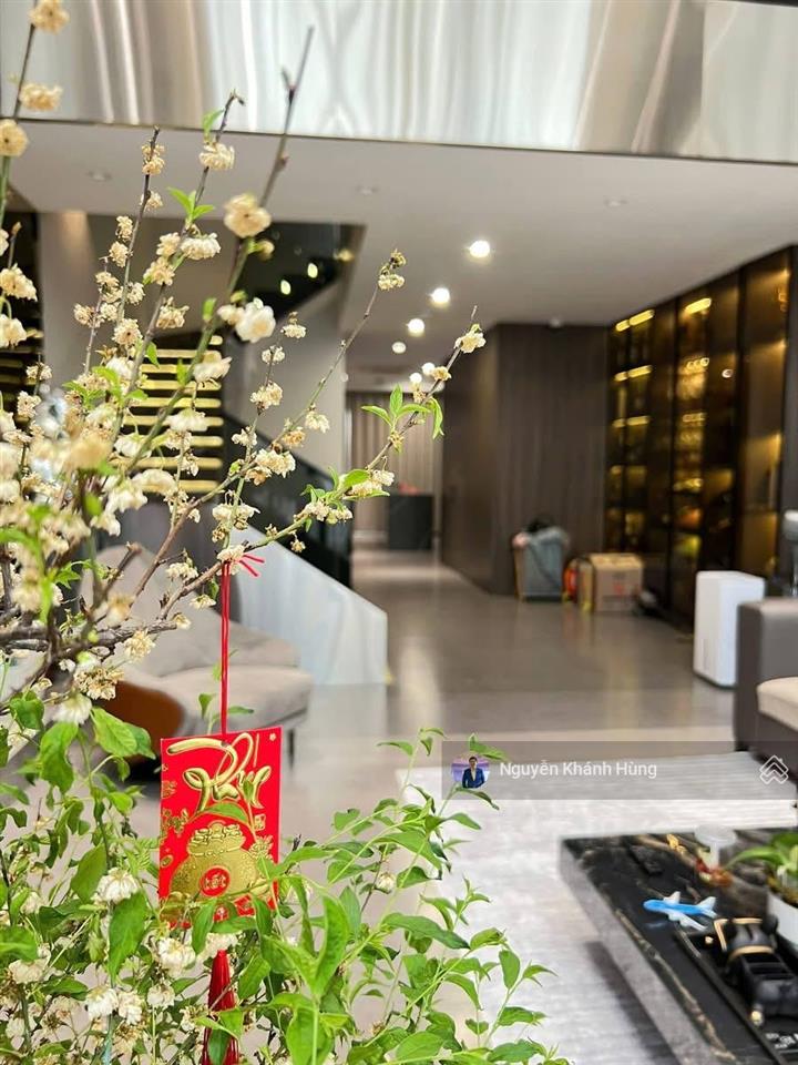 Bán nhà riêng phố nguyễn công hoan, full nội thất xịn, gara ô tô, thang máy, dt 100m2 x 5 tầng