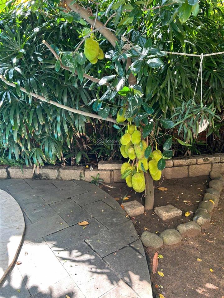 Rẻ nhất quận 2  bán gấp biệt thự compound thảo điền 870m2  chỉ 115 tỷ tl