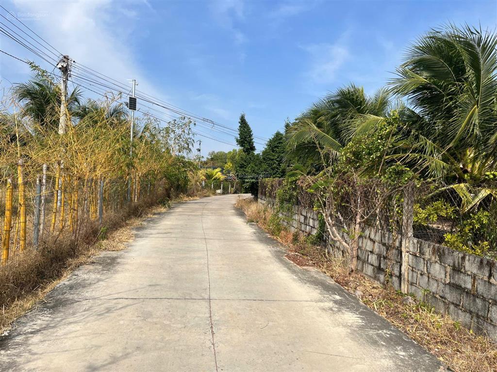 Tổng hợp đất sào trục chính sân bay phan thiết, thiện nghiệp giá 1,52 tỷ/ 1000m2.  0974 090 ***