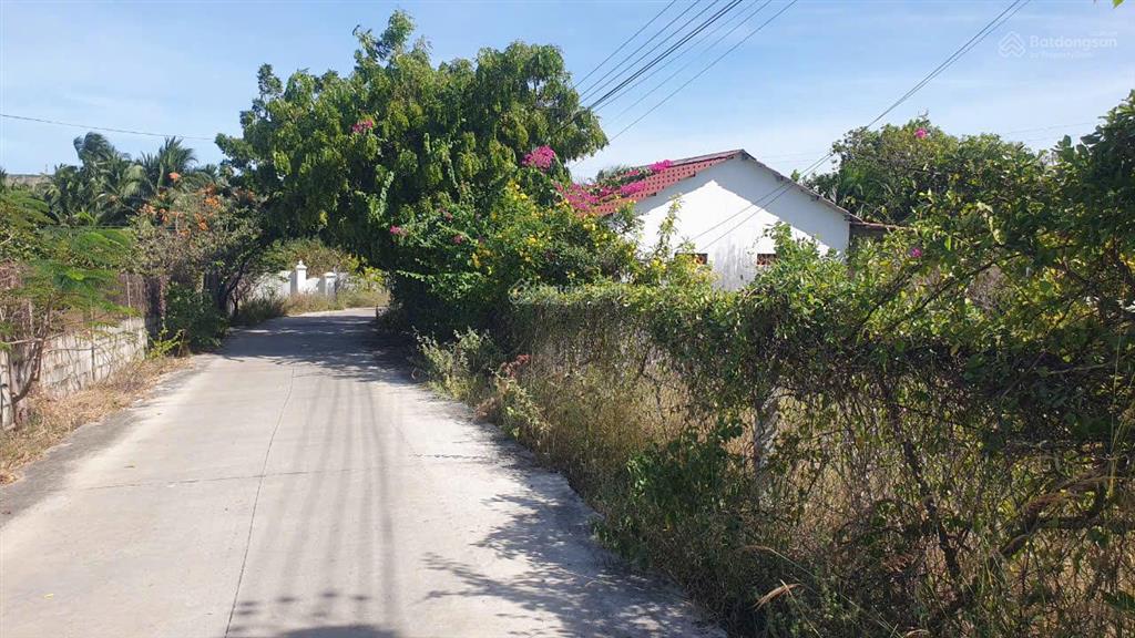 Tổng hợp đất sào trục chính sân bay phan thiết, thiện nghiệp giá 1,52 tỷ/ 1000m2.  0974 090 ***