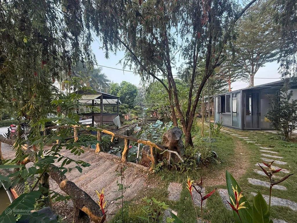 Giảm mạnh 50 tỷ còn 25tỷ dòng tiền khủng 9.8 tỷ /năm bđs hcm nghỉ dưỡng