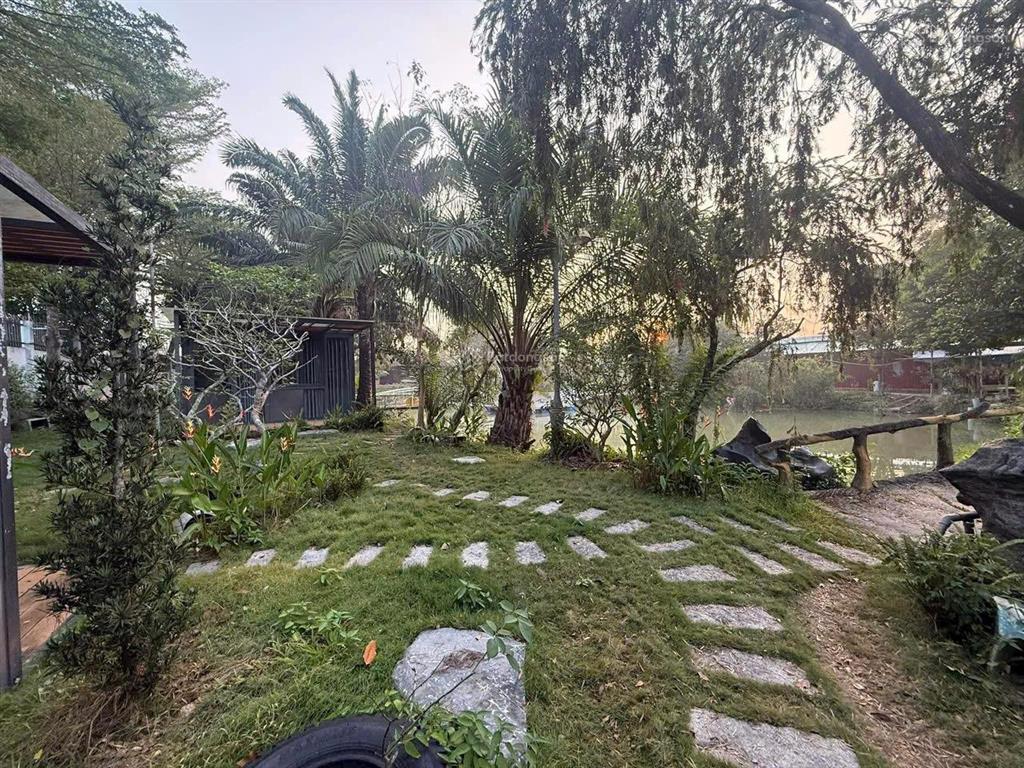 Giảm mạnh 50 tỷ còn 25tỷ dòng tiền khủng 9.8 tỷ /năm bđs hcm nghỉ dưỡng