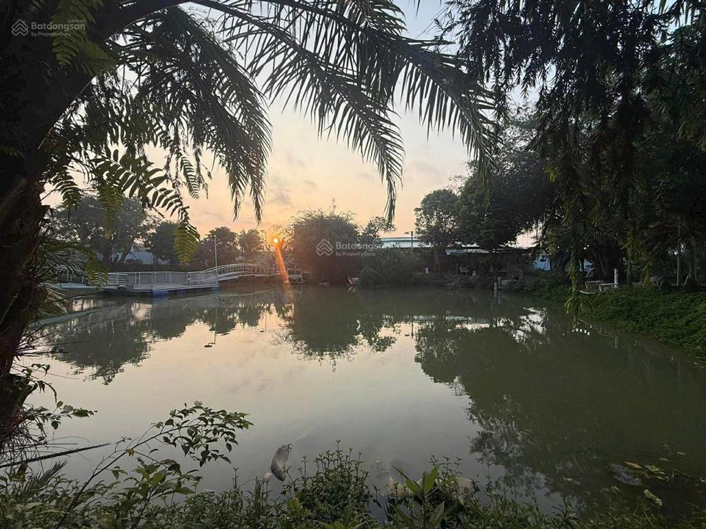 Giảm mạnh 50 tỷ còn 25tỷ dòng tiền khủng 9.8 tỷ /năm bđs hcm nghỉ dưỡng