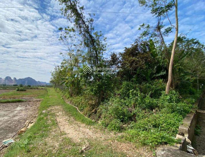 Bán gấp 7243m2 tại đông sơn (đông phú cũ), thanh hóa. giá chỉ 2,5 tỷ