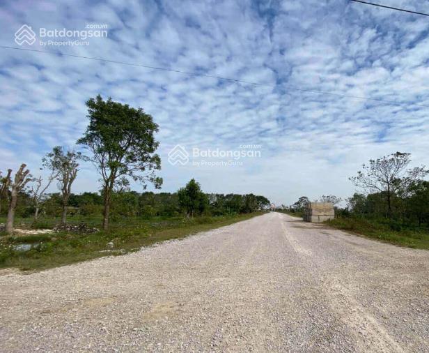 Bán gấp 7243m2 tại đông sơn (đông phú cũ), thanh hóa. giá chỉ 2,5 tỷ