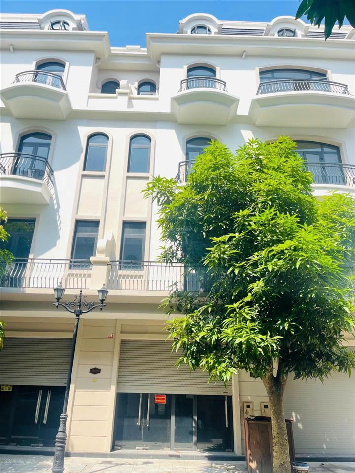 Vinhomes ocean park 2 em có shop sao biển rẻ dt 67,5m2, giá 9,5 tỷ, mt 4,5mx15, sát 10 toà cc, cv