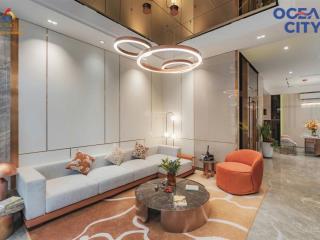 Vinhomes ocean park 3 căn liền kề xe khe dt 112m2, giá chỉ 14,x tỷ, vị trí ngay sát công viên