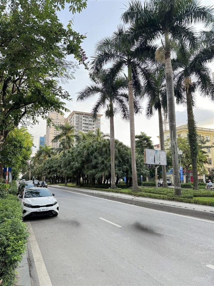 Giá cực tốt. sổ lâu dài, dt 109m2. ~ 60tr/m2. nguyễn cơ thạch lưu hữu phước.  gấp 0898 161 ***.