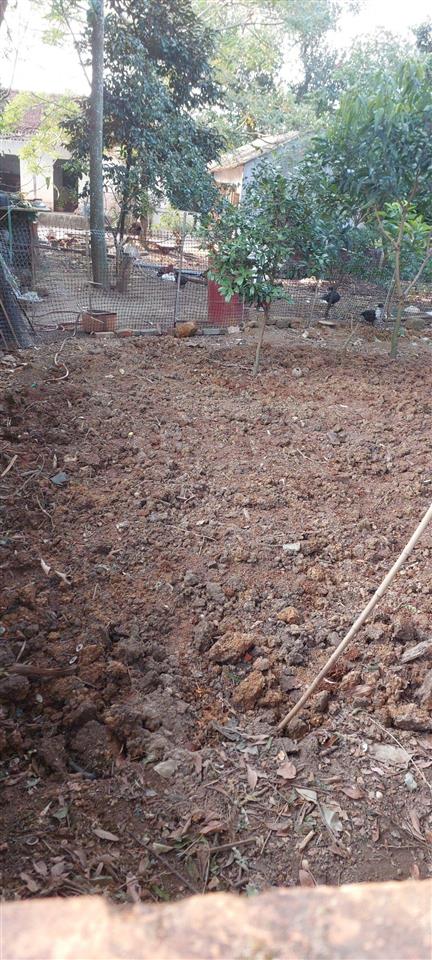 Anh trai wm co việc cần tiền bán nhanh mảnh đất phun thổ cư