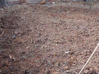 Anh trai wm co việc cần tiền bán nhanh mảnh đất phun thổ cư