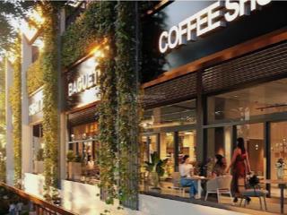 Không phải 3 tỷ không phải 2 tỷ! chỉ từ 300 triệu đã có suất sở hữu the ambience!