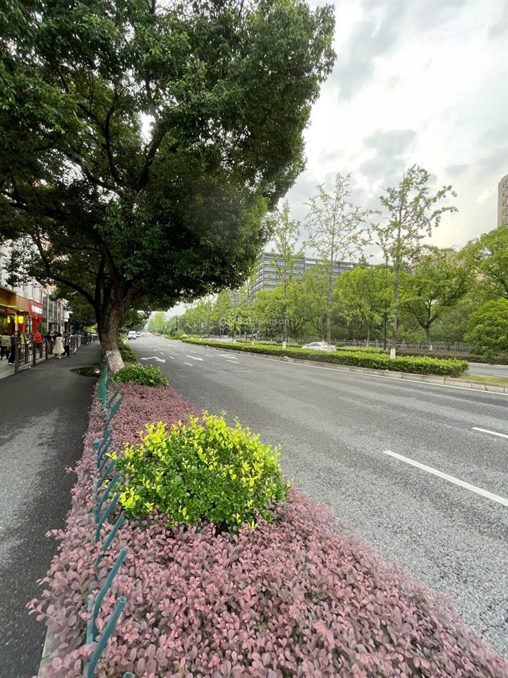 Cc bán đất phường xuân đỉnh, 120m2, ngõ rộng, 19 tỷ