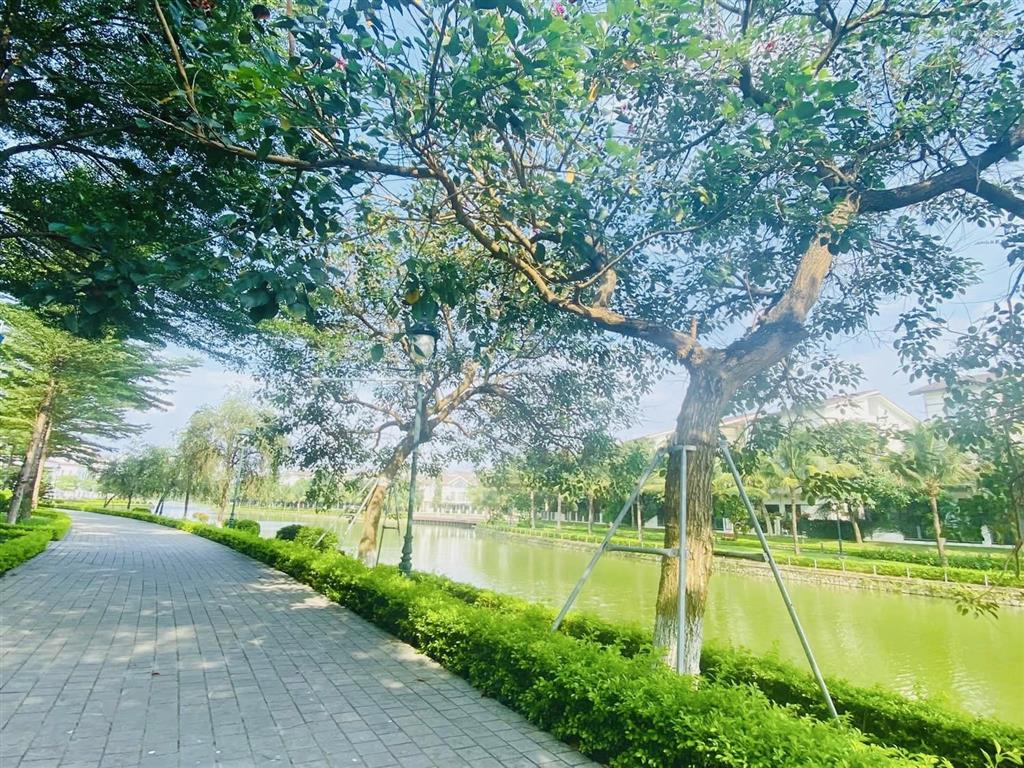 Danh sách chuyển nhượng nam an khánh tháng 1/2026  trực tiếp