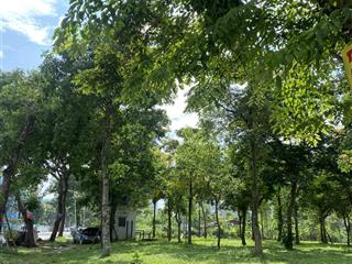 Lô biệt thự ngay hồ siêu đẹp, 200m2 giá bán nhanh 8x tr/1m2